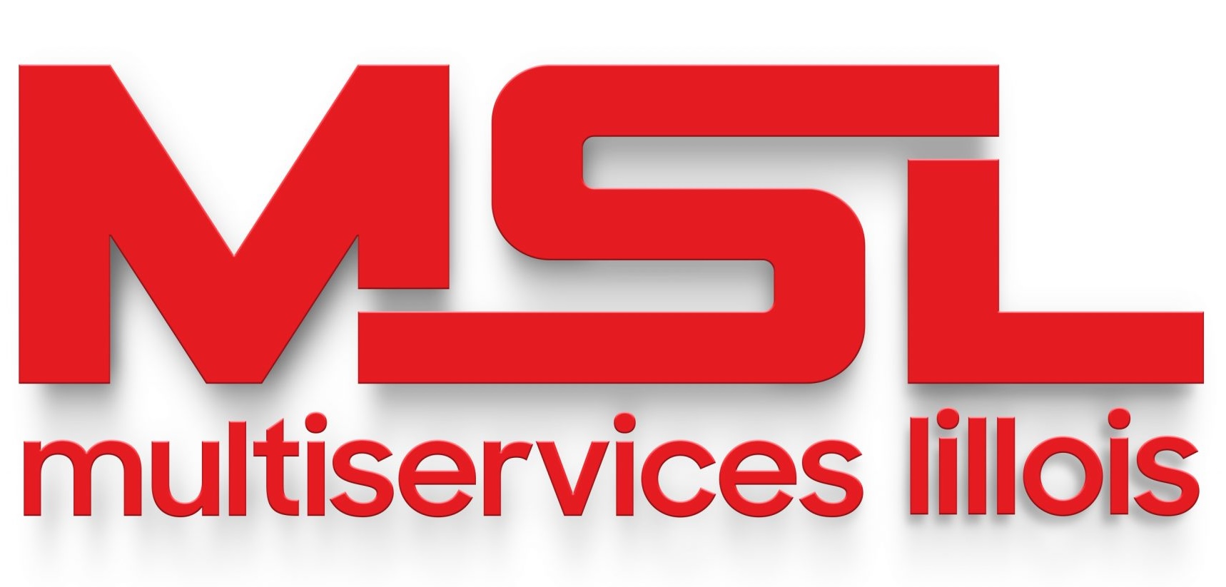 Logo MSL multiservices lillois
