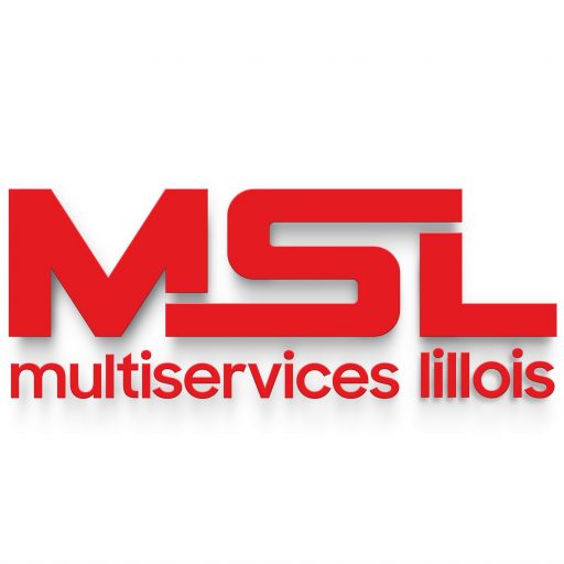MULTISERVICE LILLOIS
